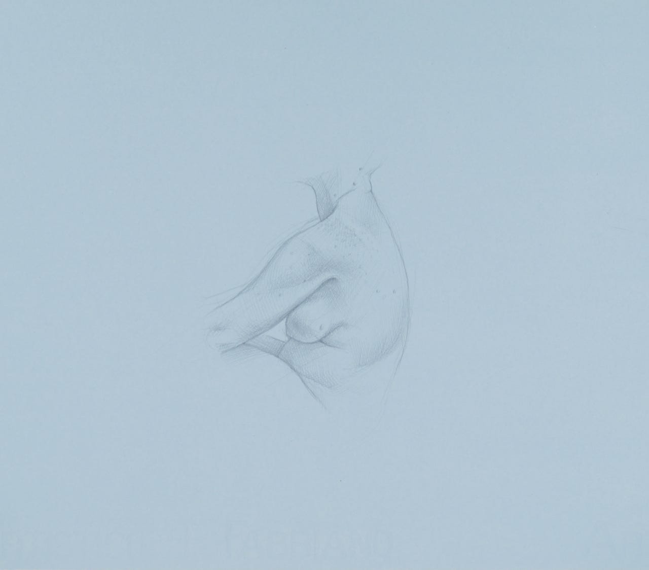 Flank Study, 2017, silverpoint on prepared paper, 10 x 9 inches (sheet size)