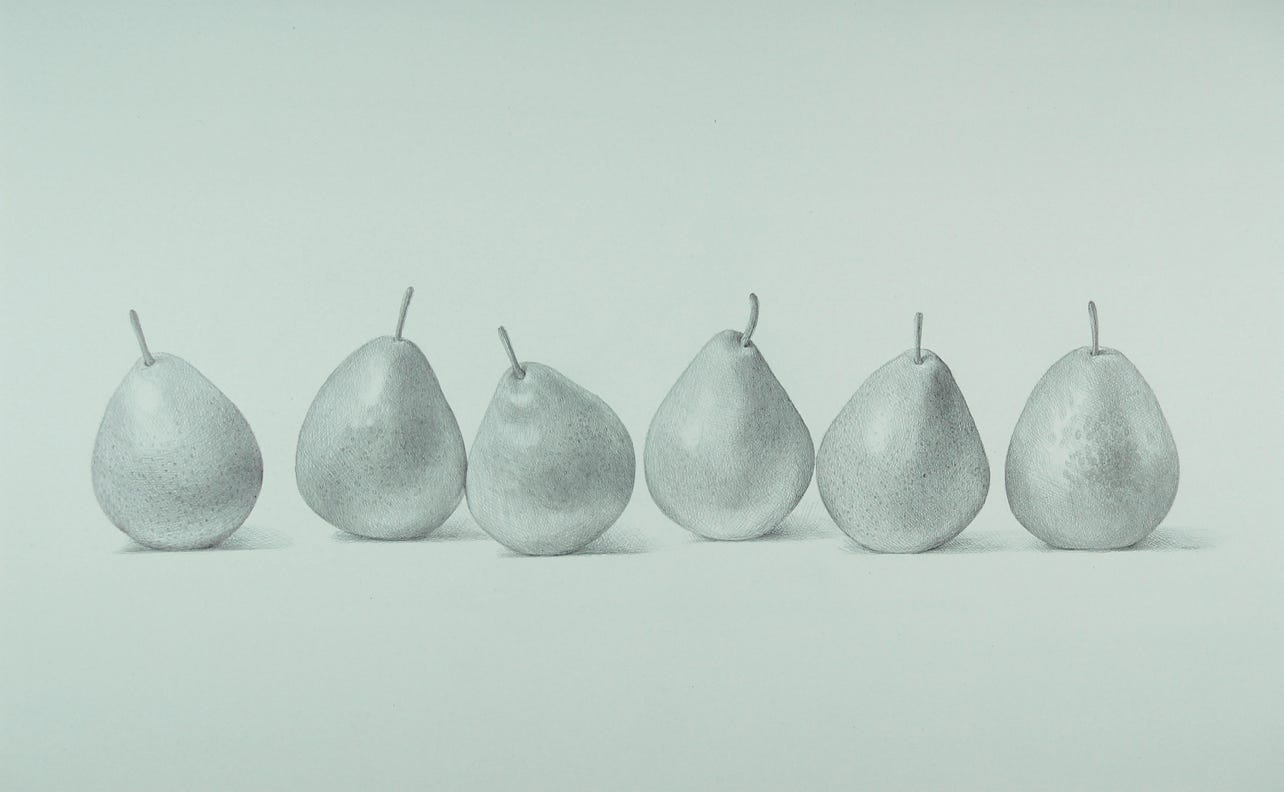 silverpoint, metalpoint, drawing, life drawing, still life, Tom Mazzullo