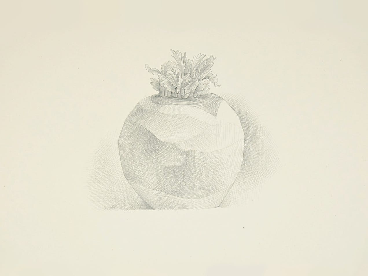 silverpoint, metalpoint, drawing, life drawing, still life, Tom Mazzullo