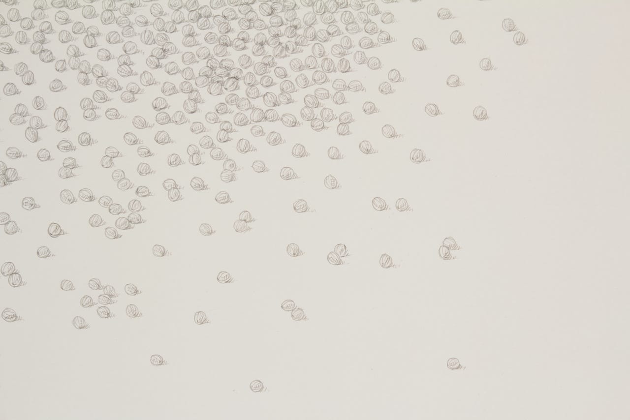 Comet (detail), 2009, silverpoint on prepared paper, 22 x 30 inches