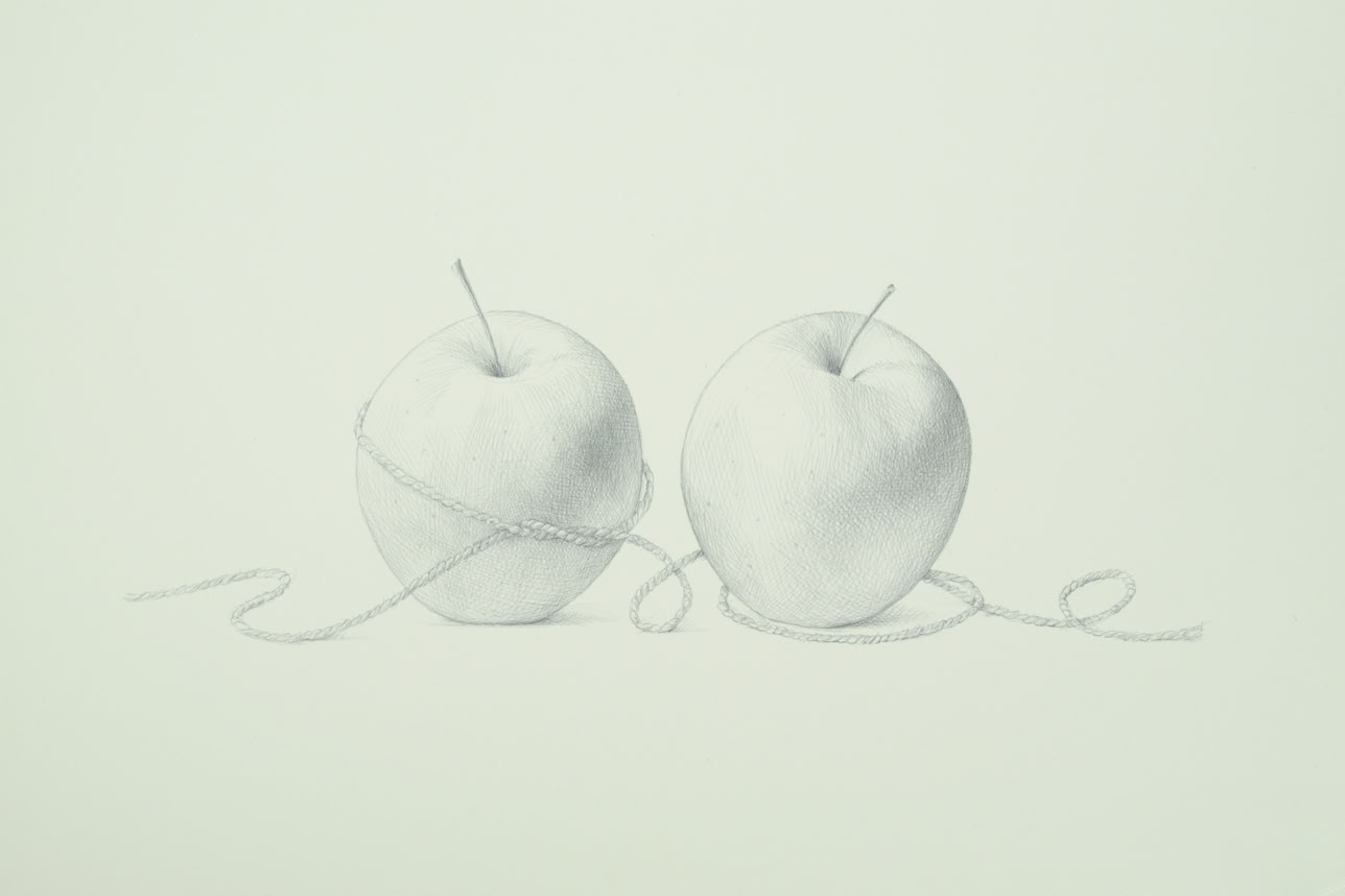 silverpoint, metalpoint, drawing, life drawing, still life, Tom Mazzullo