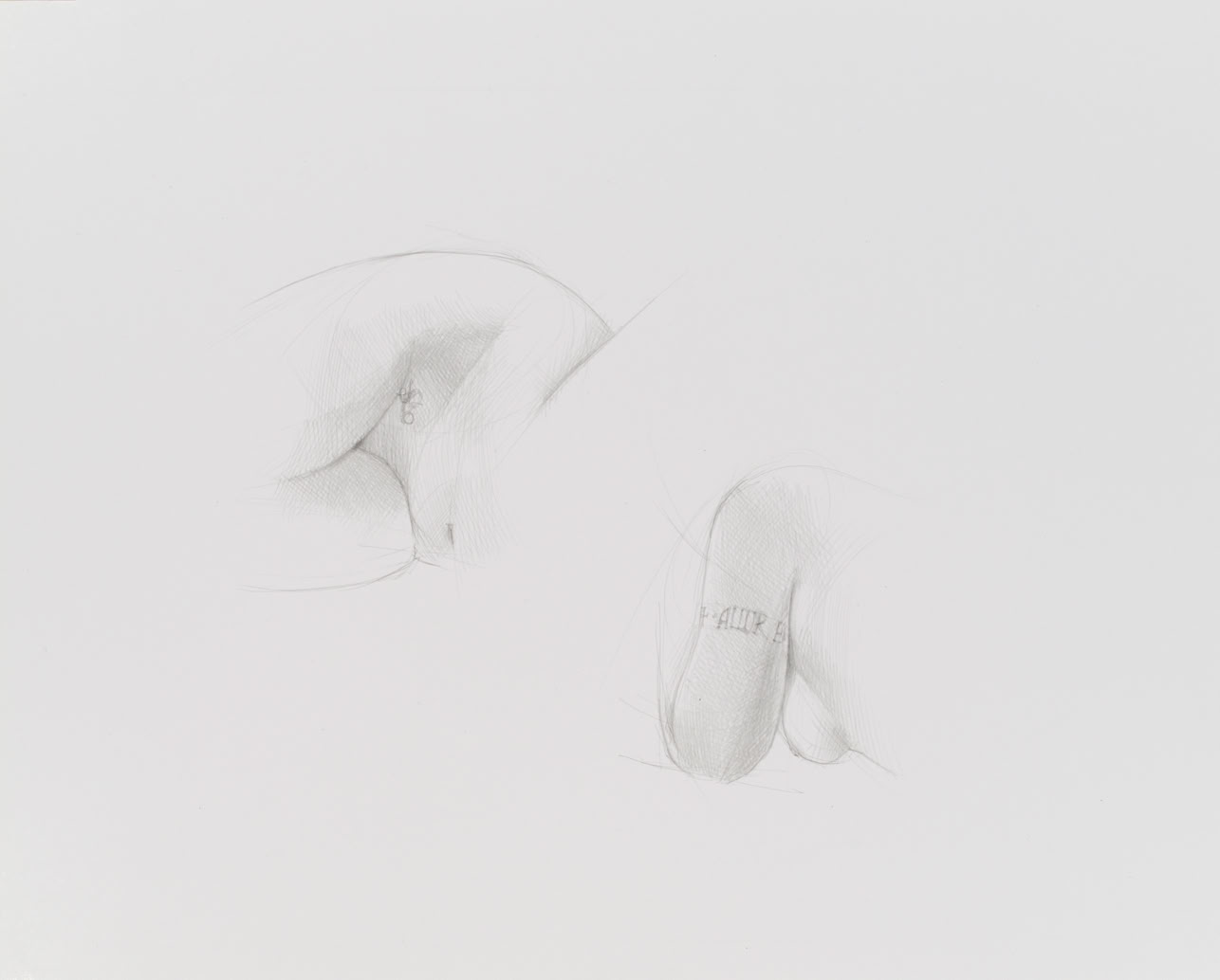 silverpoint, metalpoint, drawing, life drawing, nude figure, Tom Mazzullo