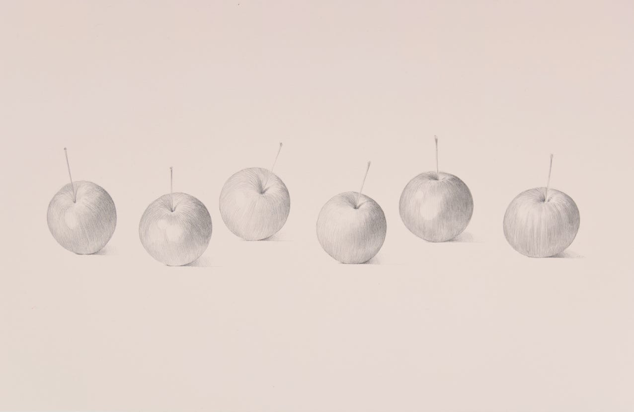 Crabapples, 2008, silverpoint on prepared paper, 12 x 20 inches