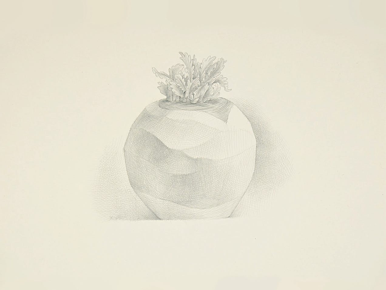 Sprouted, 2008, silverpoint on prepared paper, 8 x 10 inches