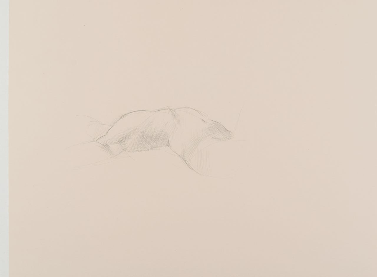 Torso Study, 2012, silverpoint on prepared paper, 7 x 11 inches