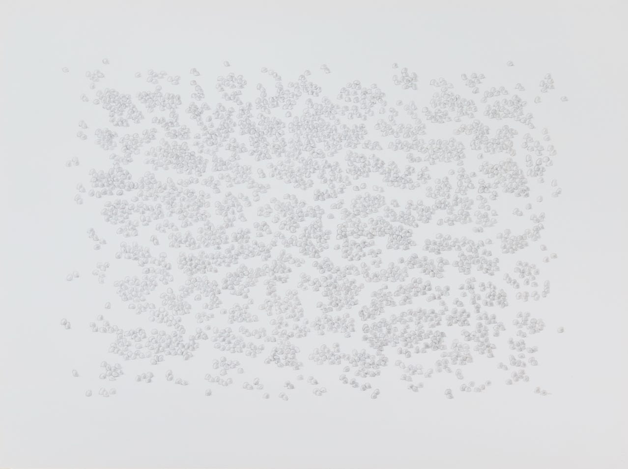 Density, 2009, metalpoint on prepared paper, 22 x 30 inches