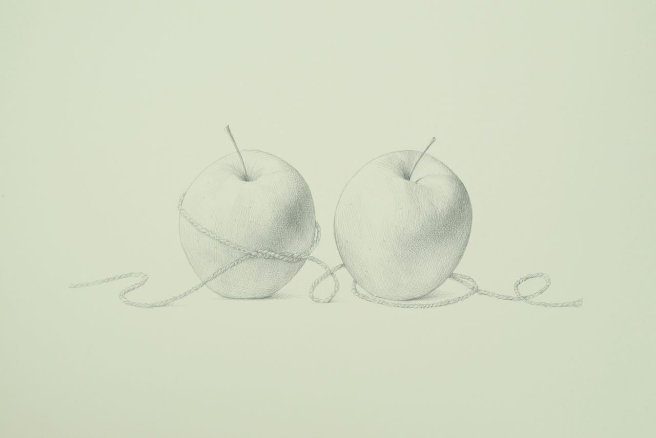 Lunchbox Apples, 2015, silverpoint on prepared paper, 9 1-2 x 15 inches