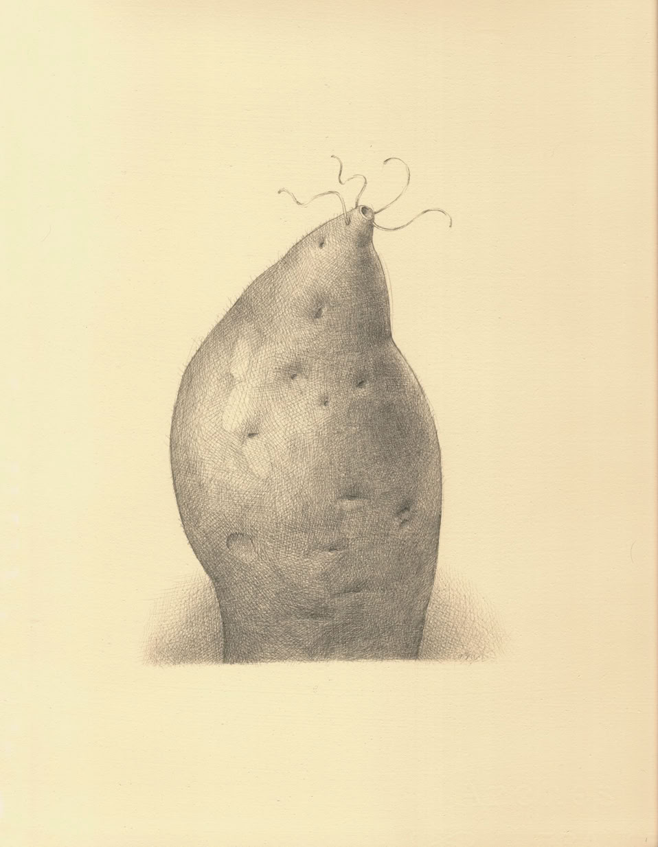 silverpoint, metalpoint, drawing, life drawing, still life, Tom Mazzullo