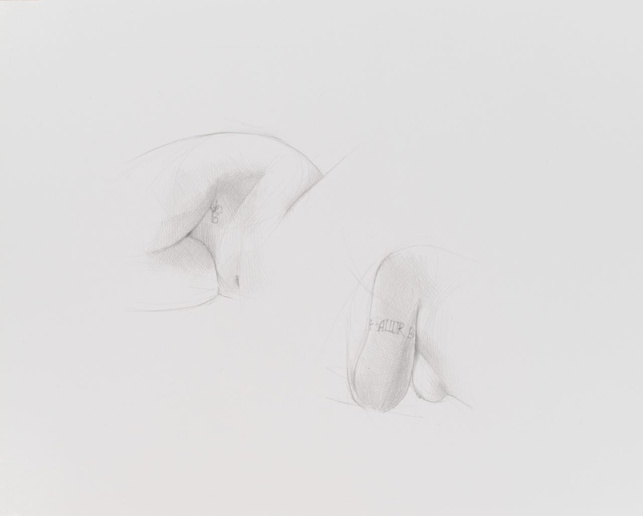 Tattoo Studies,  2012, silverpoint on clay-coated paper, 10 x 13 inches