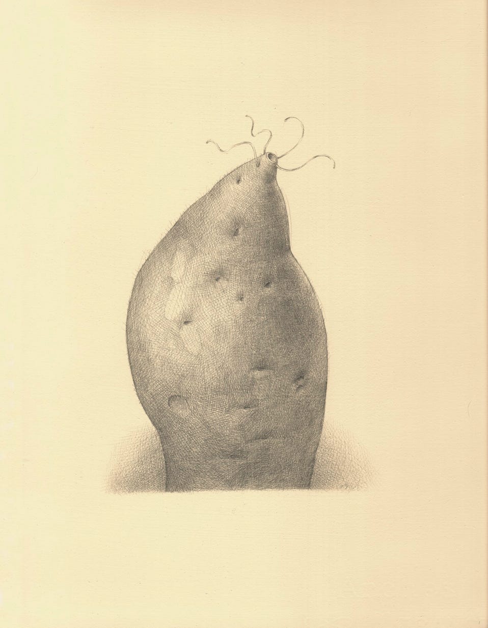 silverpoint, metalpoint, drawing, life drawing, still life, Tom Mazzullo