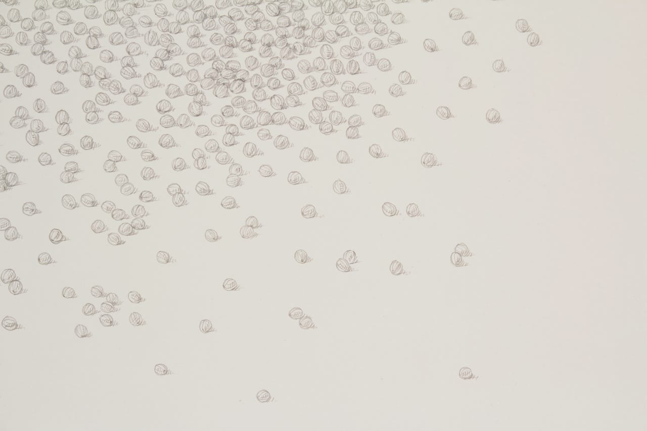 Comet (detail), 2009, silverpoint on prepared paper, 22 x 30 inches