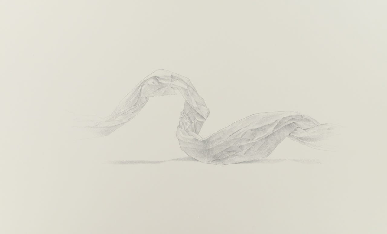 Oxbow, 2015, silverpoint on prepared paper, 12 x 20 inches (sheet size)