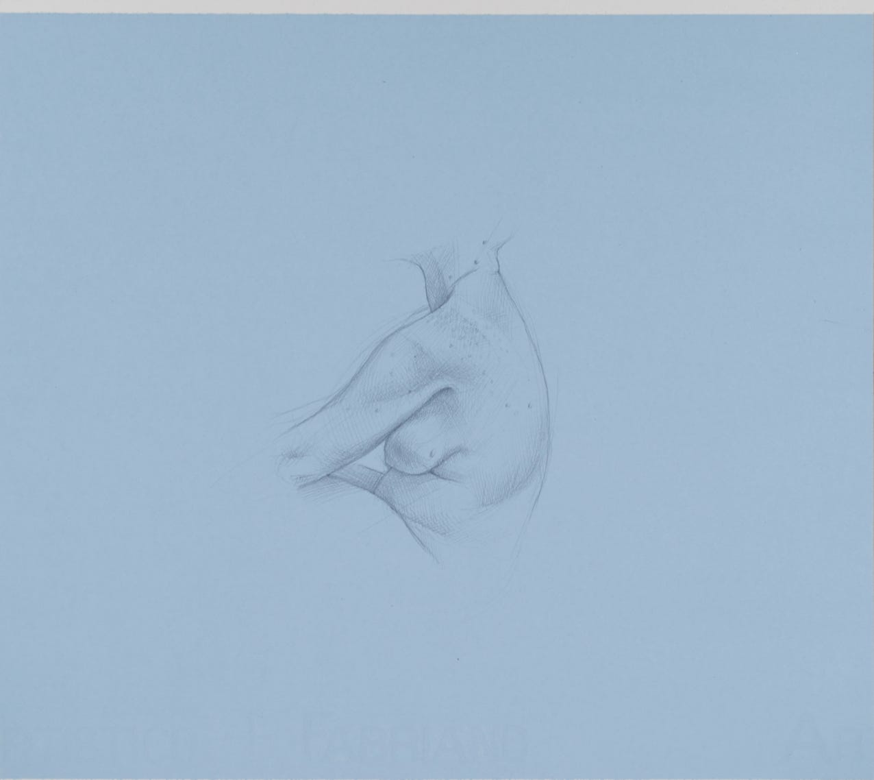 Flank Study, 2017, silverpoint on prepared paper, 10 x 9 inches (sheet size)