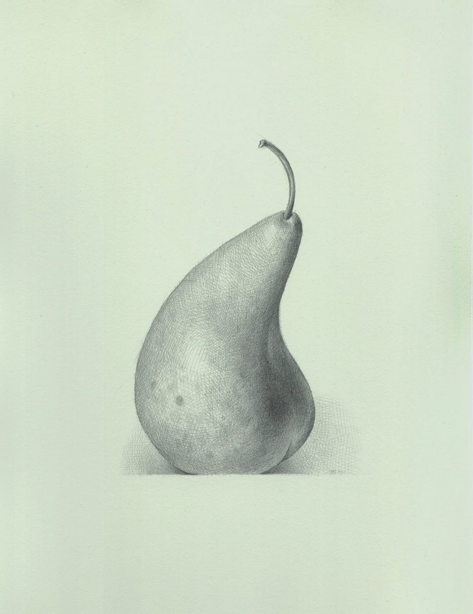 Bosc Pear, 2003, silverpoint on prepared paper, 12 x 9 inches