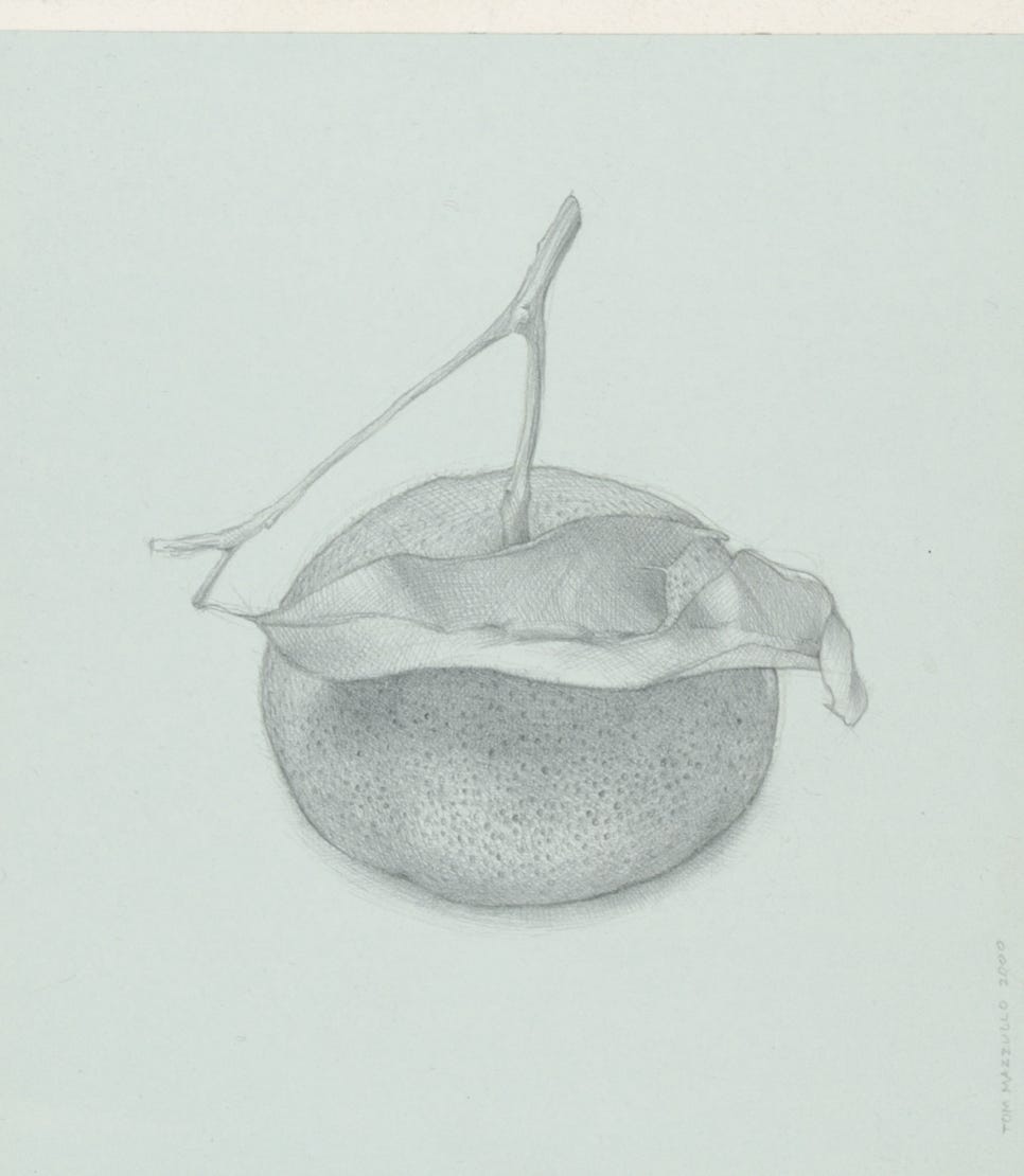 Mandarin, 2000, silverpoint with graphite on casein-prepared paper, 6 x 5 inches