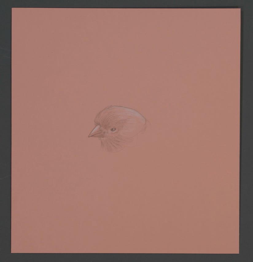 Mosaic Canary, 2022, silverpoint with white gouache on prepared paper, 6⁃x⁃5 1/2⁃inches