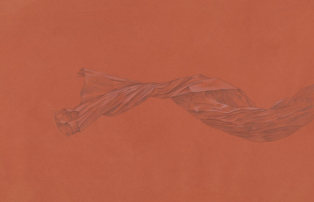 Red River, 2018, silverpoint with white gouache on red ochre ground, 11 x 20 inches (sheet size)