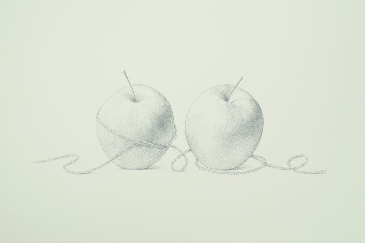 Lunchbox Apples, 2015, silverpoint on prepared paper, 9 1-2 x 15 inches (sheet size)