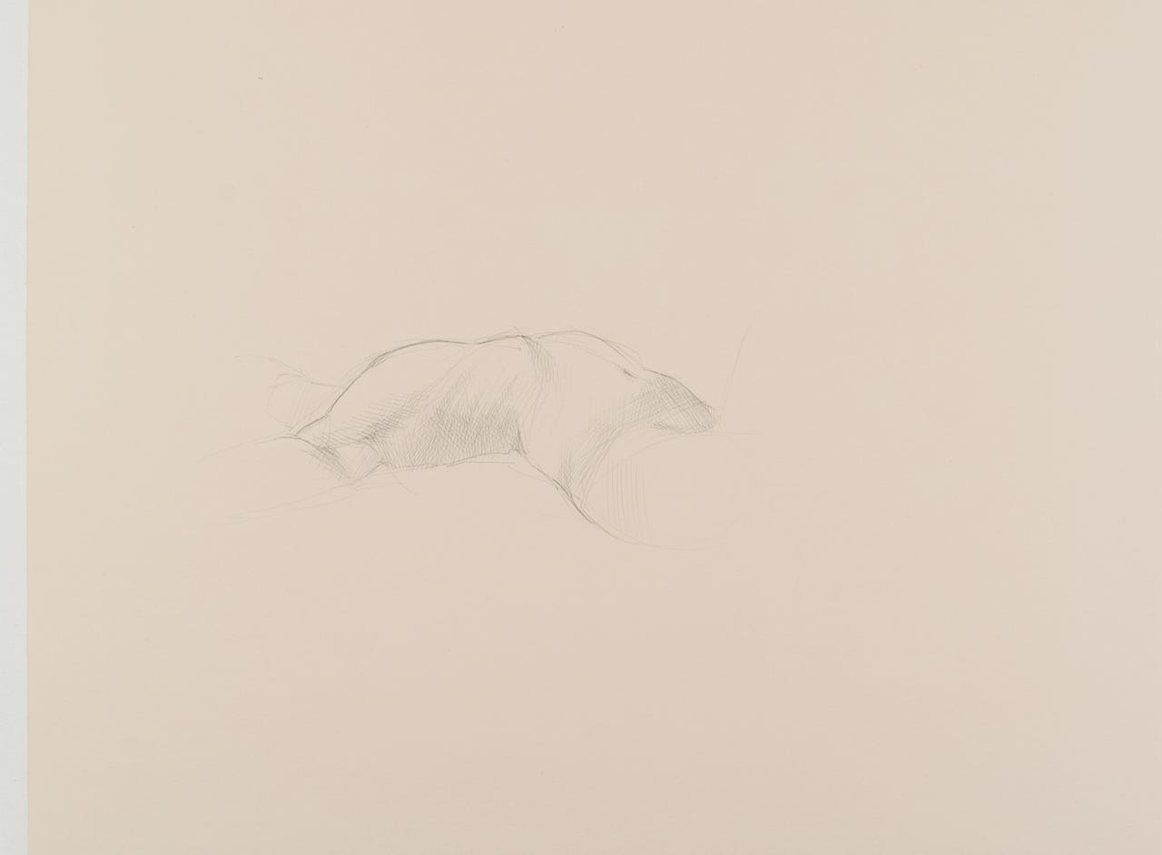 Torso Study, 2012, silverpoint on prepared paper, 7 x 11 inches