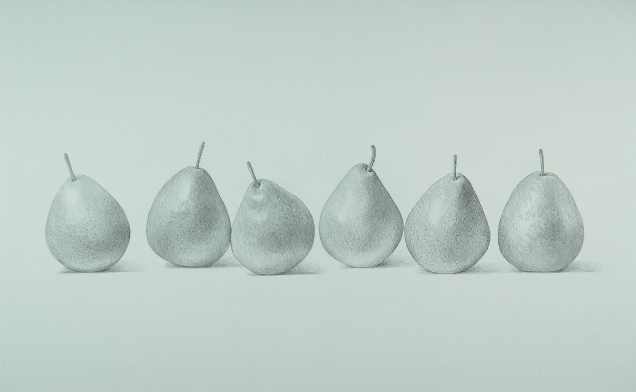 Six Seckels, 2007, silverpoint on prepared paper, 12 x 22 inches