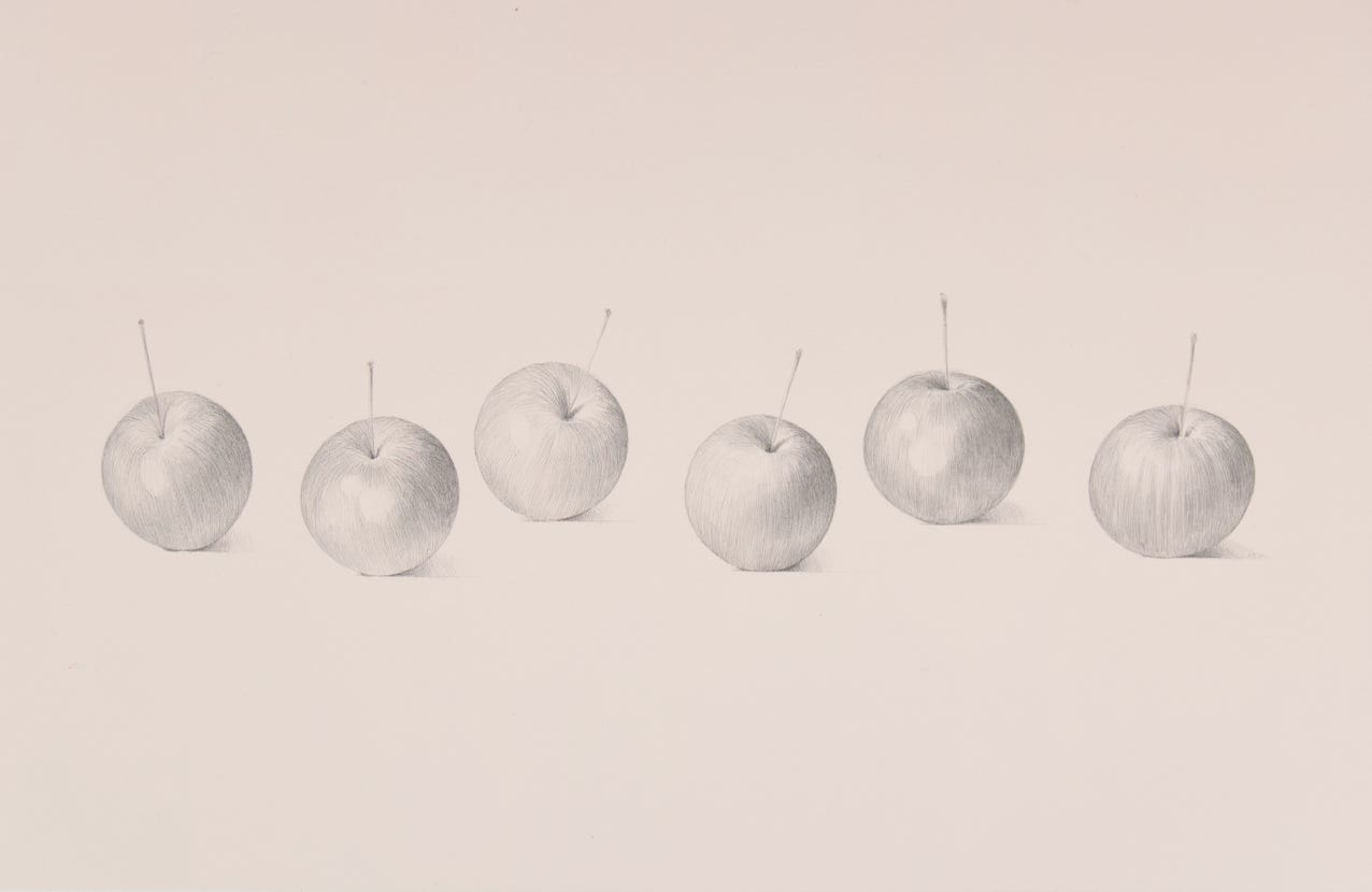 Crabapples, 2008, silverpoint on prepared paper, 12 x 20 inches